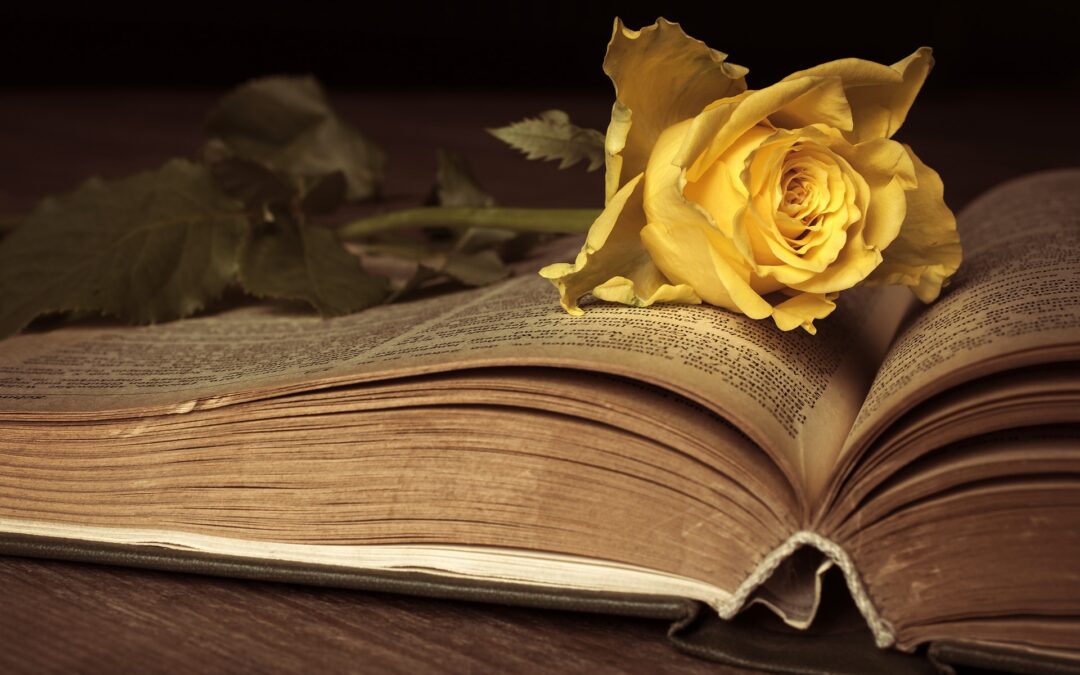 5 libri sull’amore che ti faranno battere il cuore